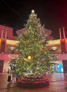 今年のクリスマスはどこのツリー・イルミネーションを見に行く！？